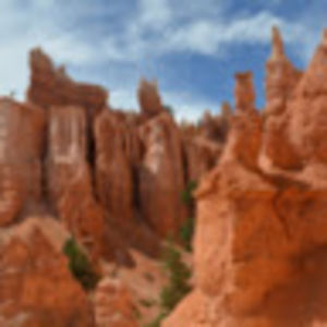 Meet your Posher, Esther